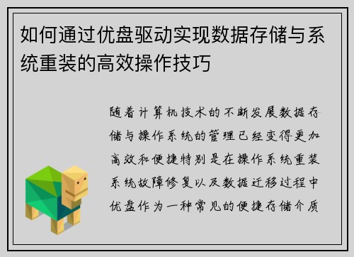 如何通过优盘驱动实现数据存储与系统重装的高效操作技巧